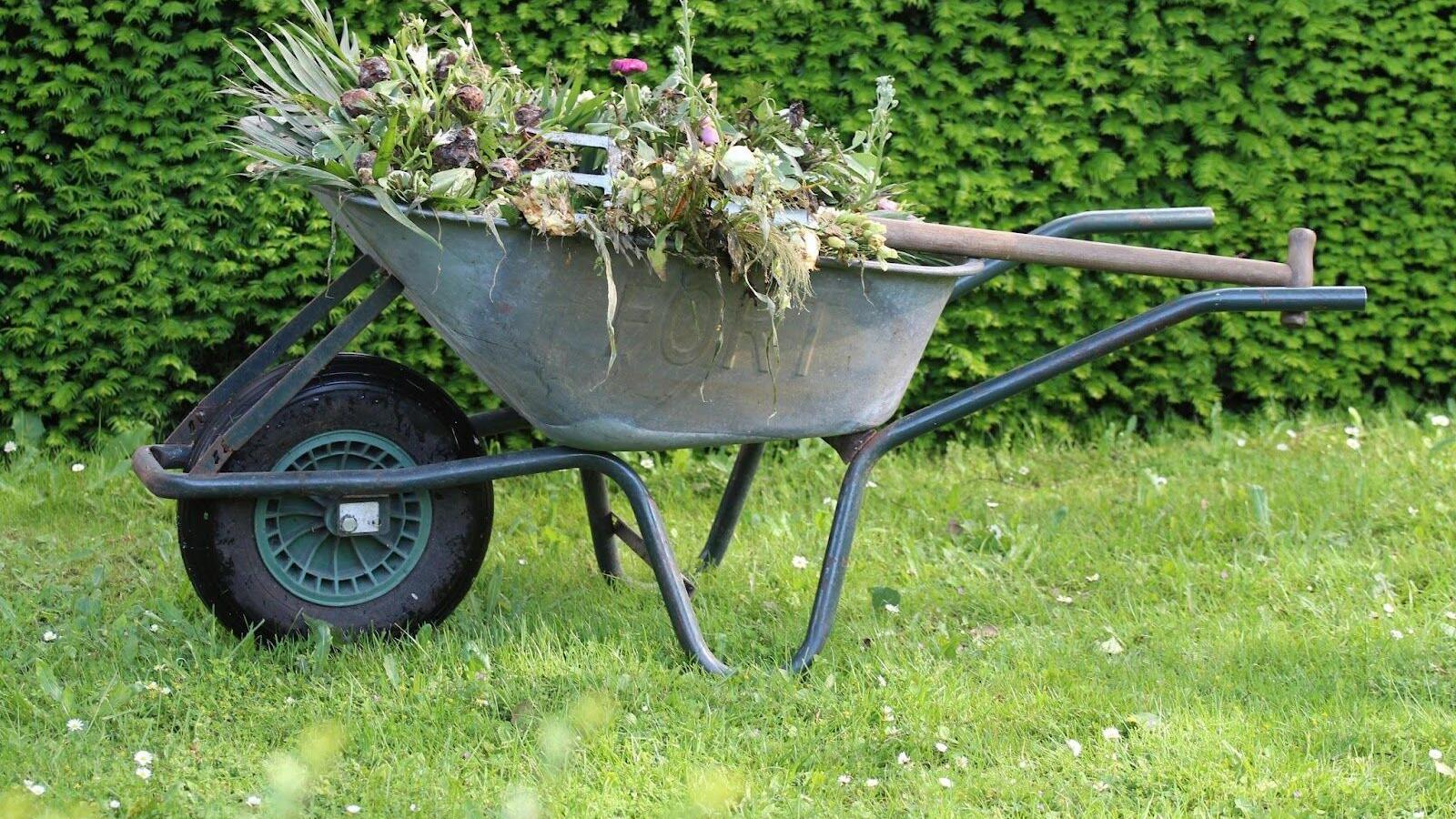 How to Keep Weeds at Bay: Tips for a Weed-Free Lawn